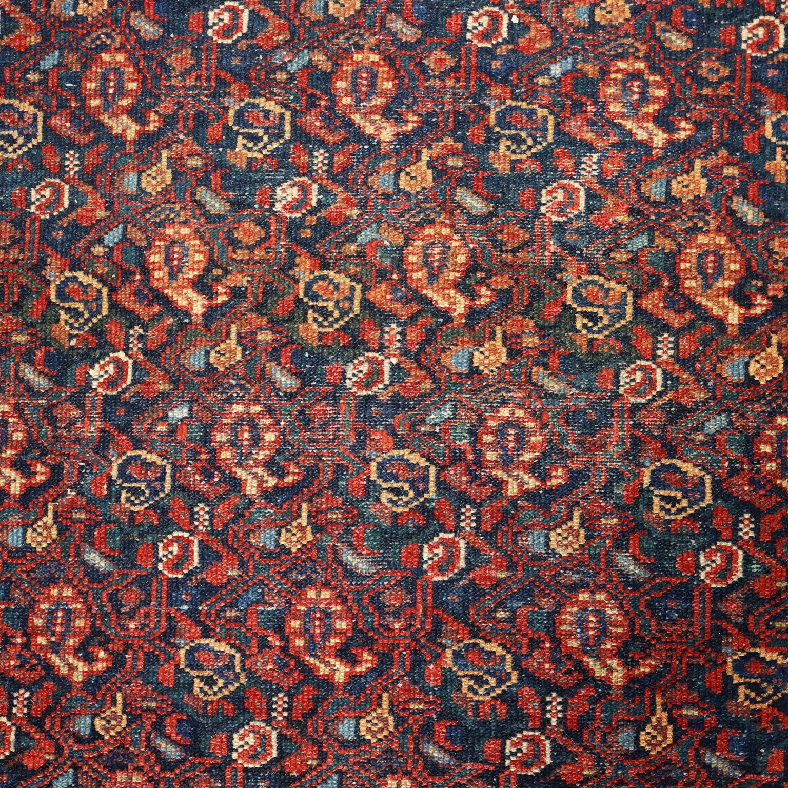 Antique Asian Carpet Cotton Wool Heavy Knot 59 X 40 In photo Textiles