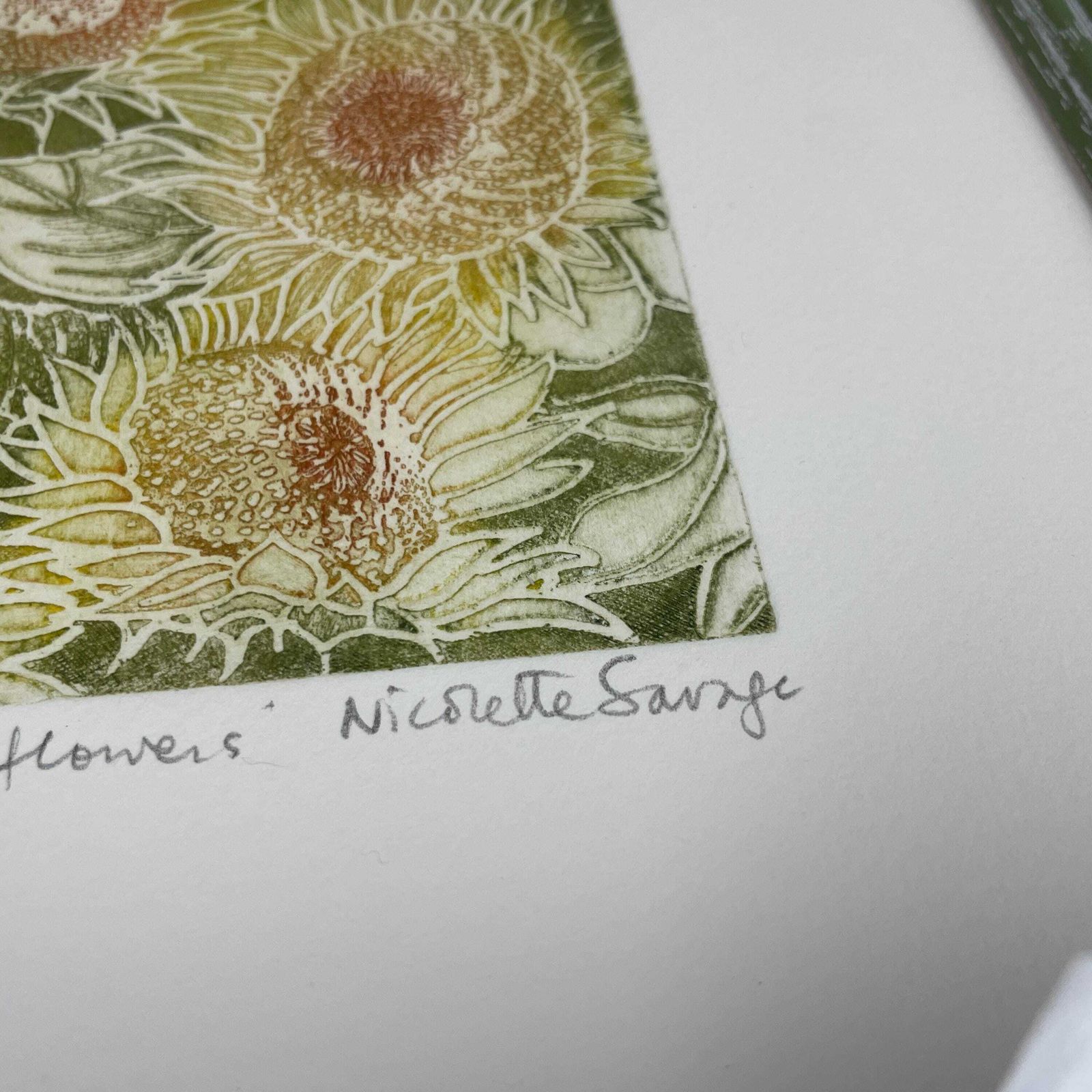 Original Sunflowers Etching Nicolette W/P Savage Framed Botanical Art Hand Coloured Floral Print Green Frame Natural Flower Artwork photo for sale
