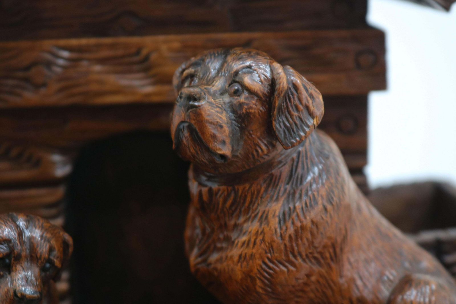 Rare Swiss Black Forest 19th Century Humidor / Tobacco Box Saint Bernard Dogs photo 2840.0