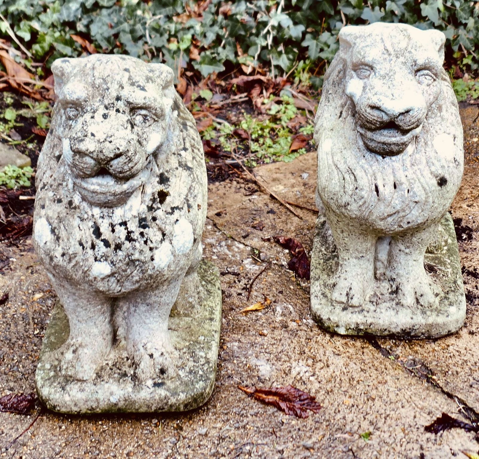 Pair Of Stone Lion Guardians These Are Weathered Statues Of 2 Lions photo for sale