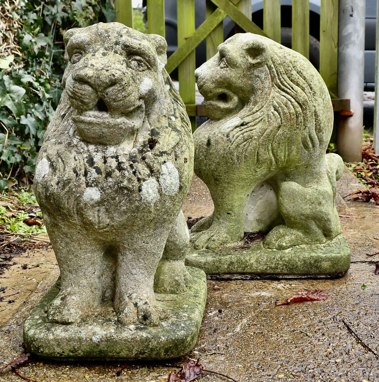 Pair Of Stone Lion Guardians These Are Weathered Statues Of 2 Lions photo vinterior
