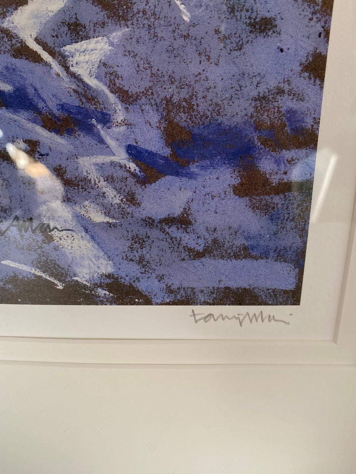 Framed Signed Limited Edition Print "Hell's Mouth" By Artist Tony Allain 95/195 photo furniture