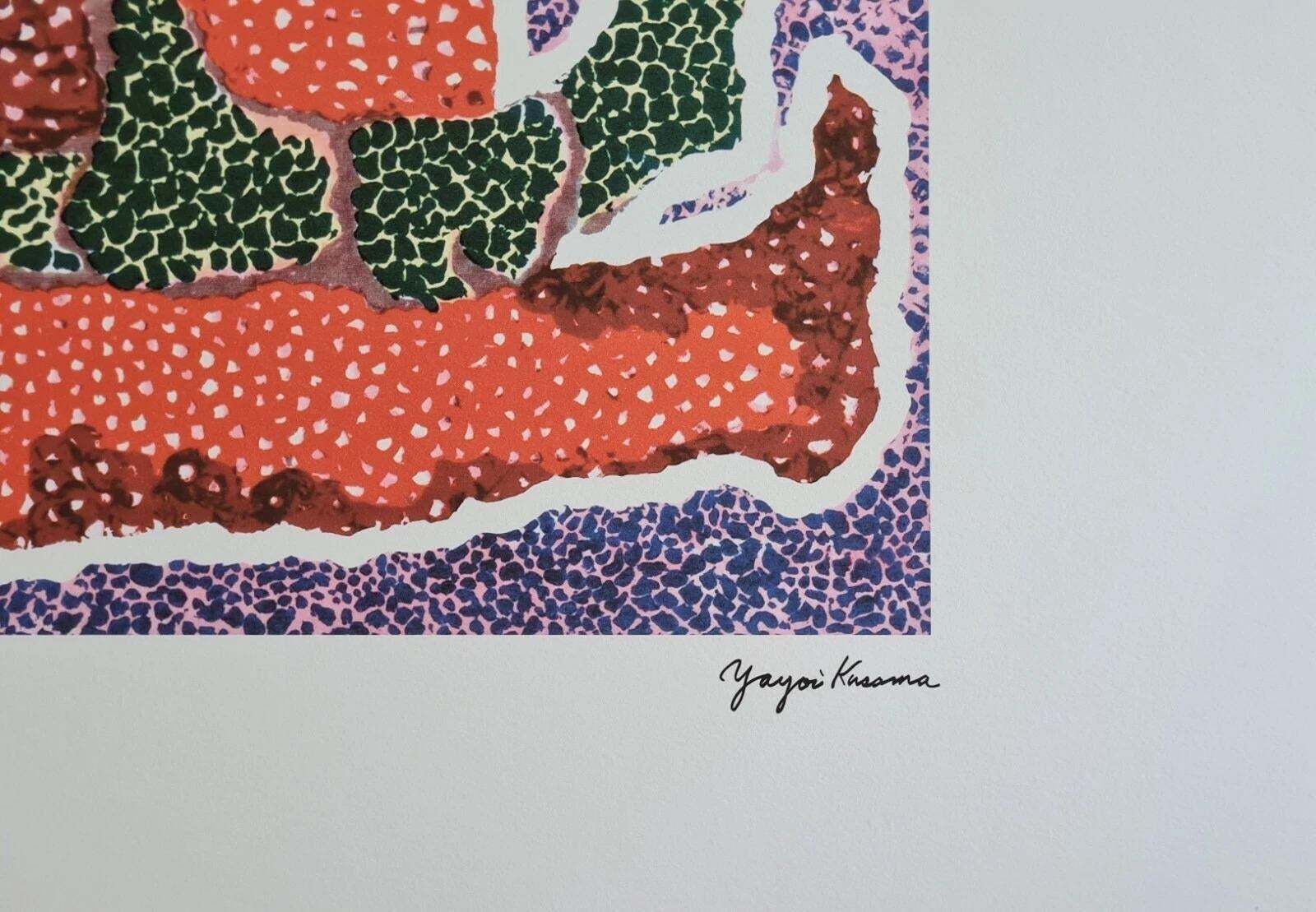 After Yayoi Kusama, Hat Leff.., Lithograph, 1990s photo vinterior