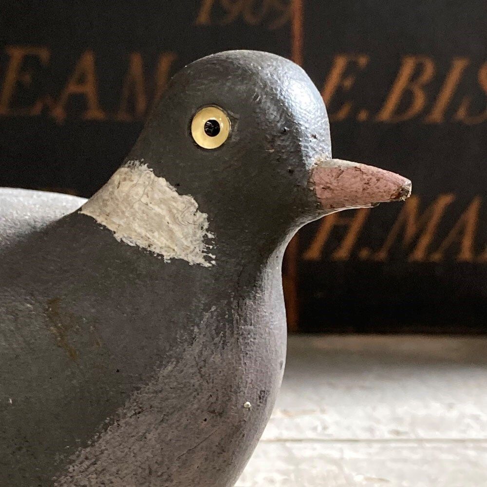 Vintage Decoy Wood Pigeon, 1930s photo vinterior