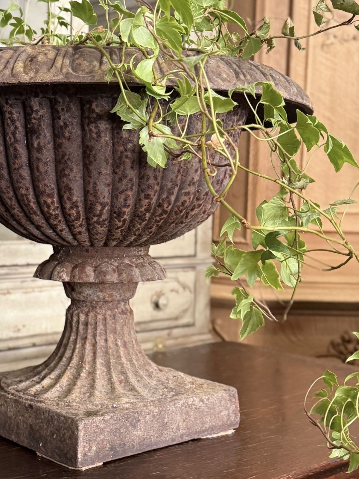 photo furniture Pair Of Antique French Cast Iron Urns / Planters