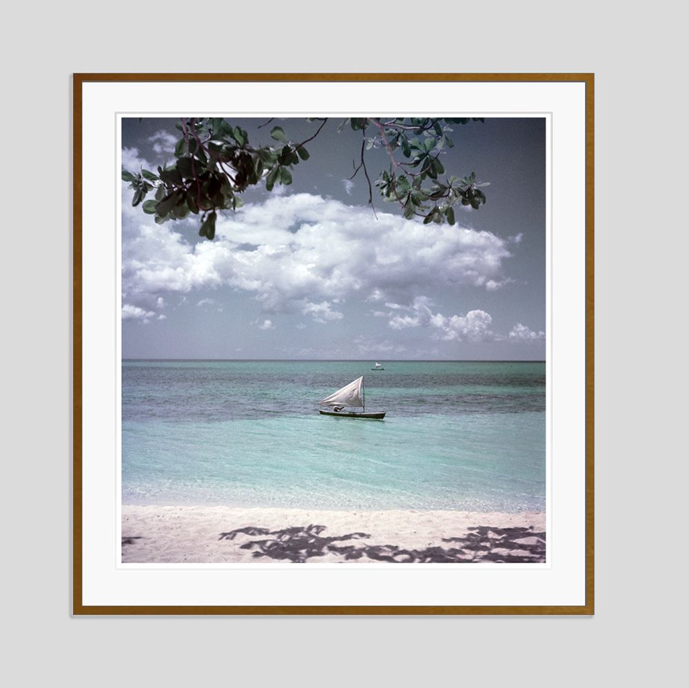 Toni Frissell 'Jamaica Sailing' Archival Pigment Print Framed In Brown photo furniture