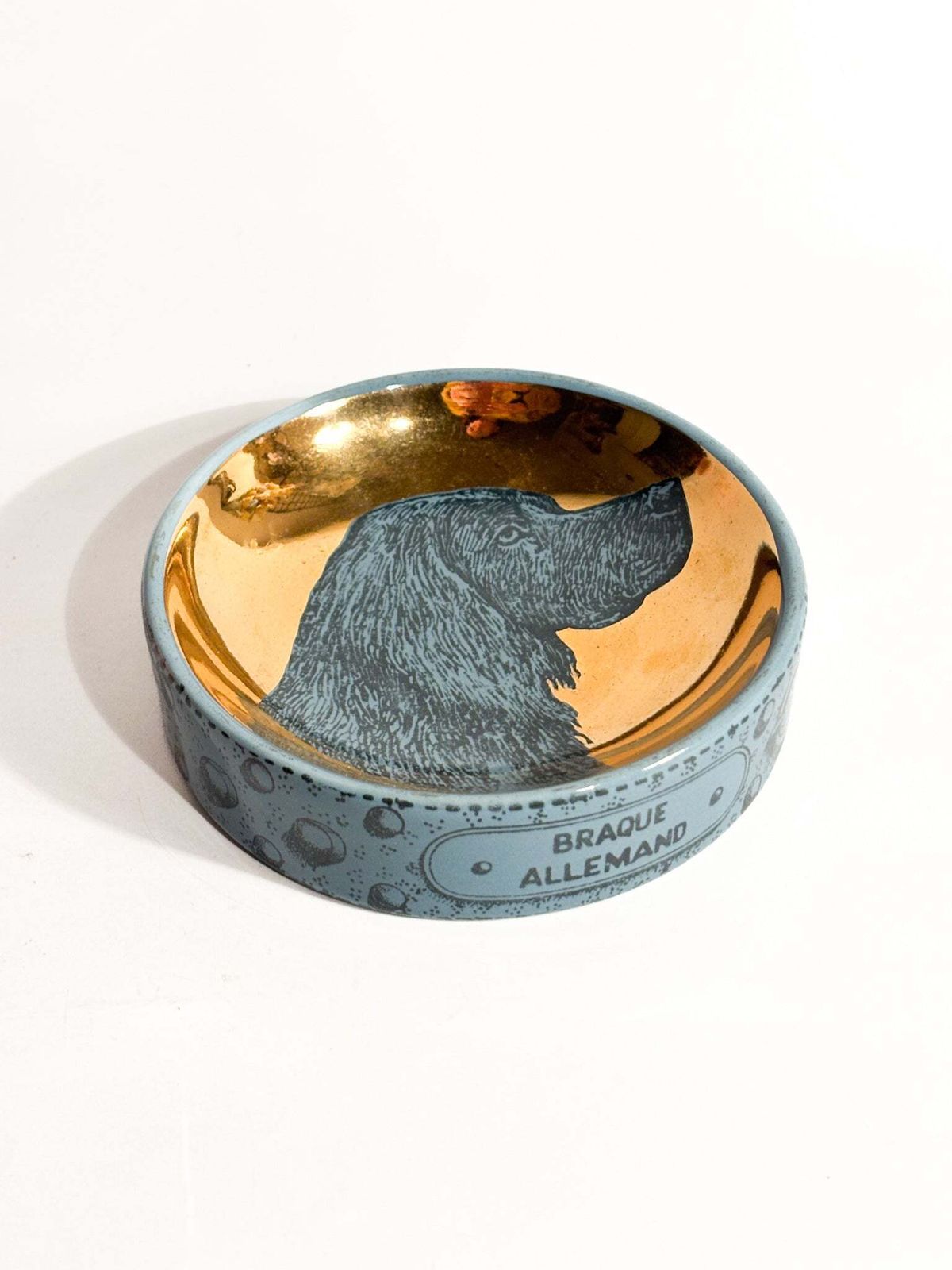 "Braque Allemand" Ceramic Dog Bowl By Piero Fornasetti, 1960s photo furniture