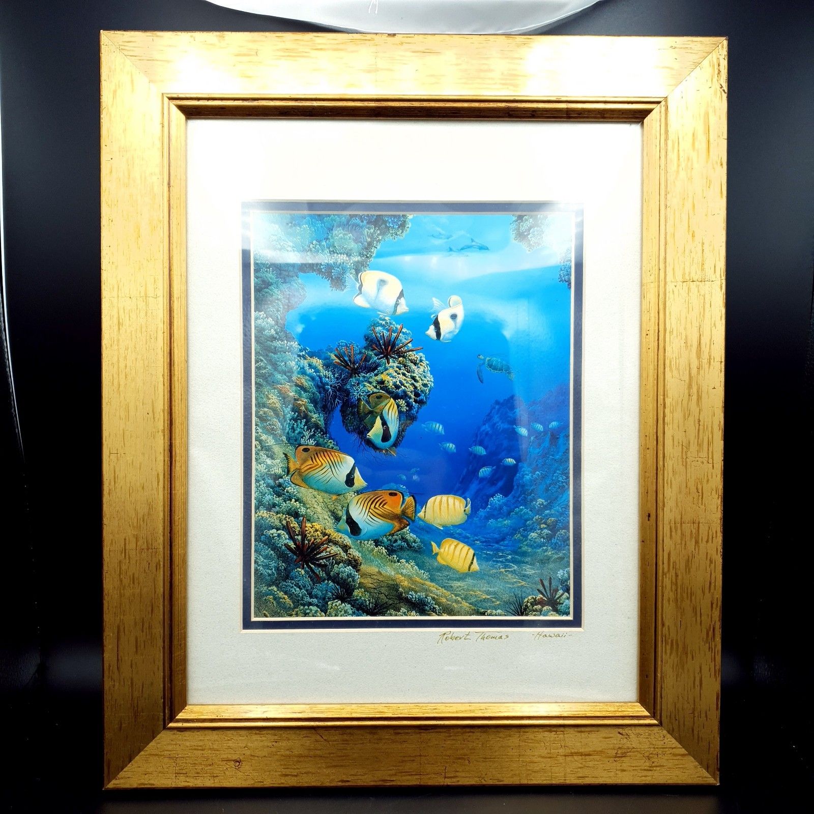 Robert Thomas Print Turtle & Ocean Reef Scene Hawaii Distressed Gold Tone Frame