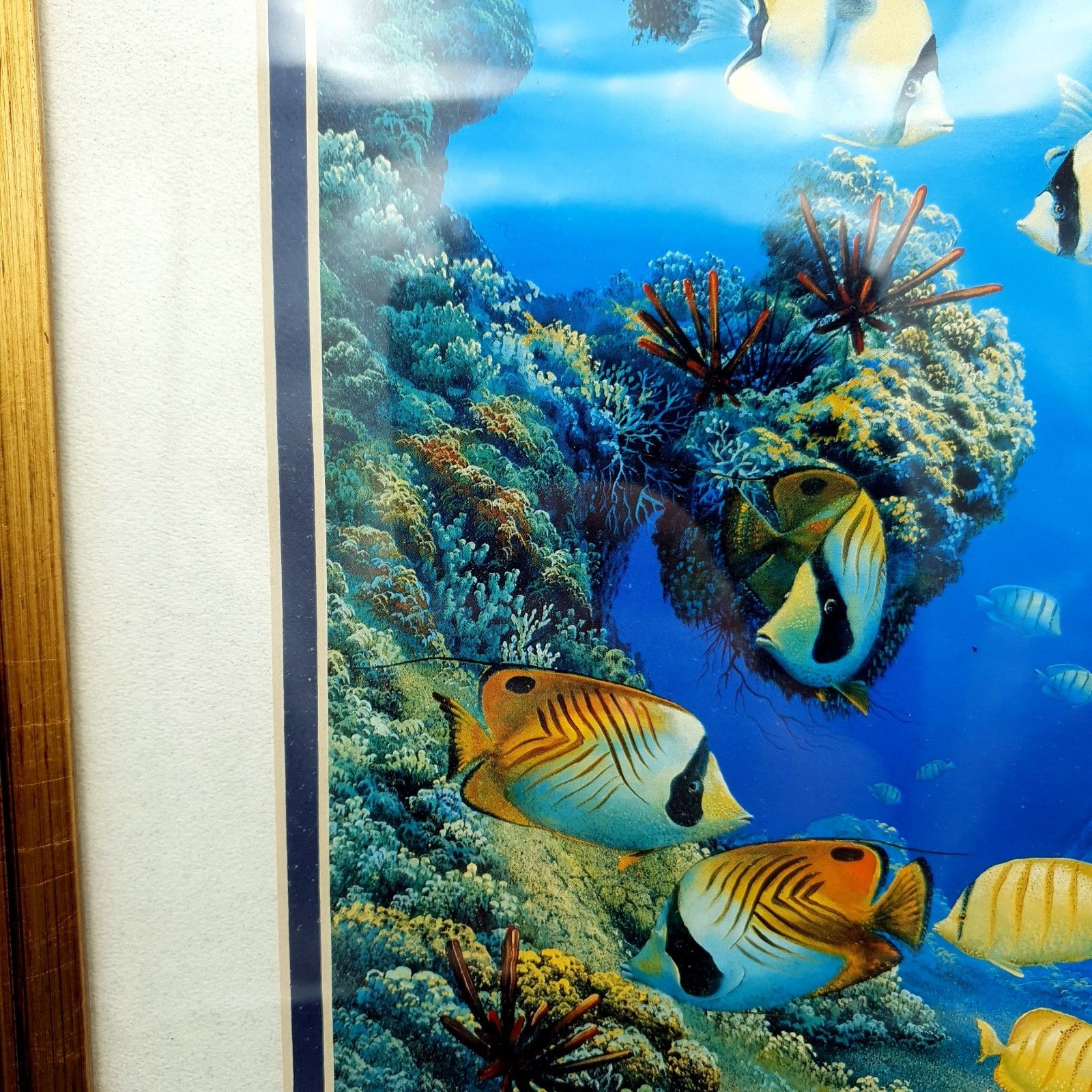 Robert Thomas Print Turtle & Ocean Reef Scene Hawaii Distressed Gold Tone Frame photo 200.0