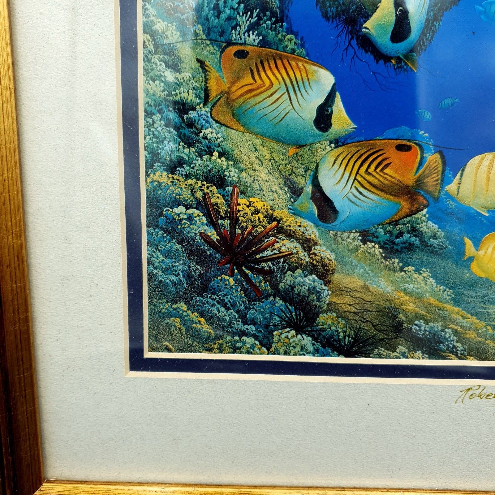 Robert Thomas Print Turtle & Ocean Reef Scene Hawaii Distressed Gold Tone Frame photo buy