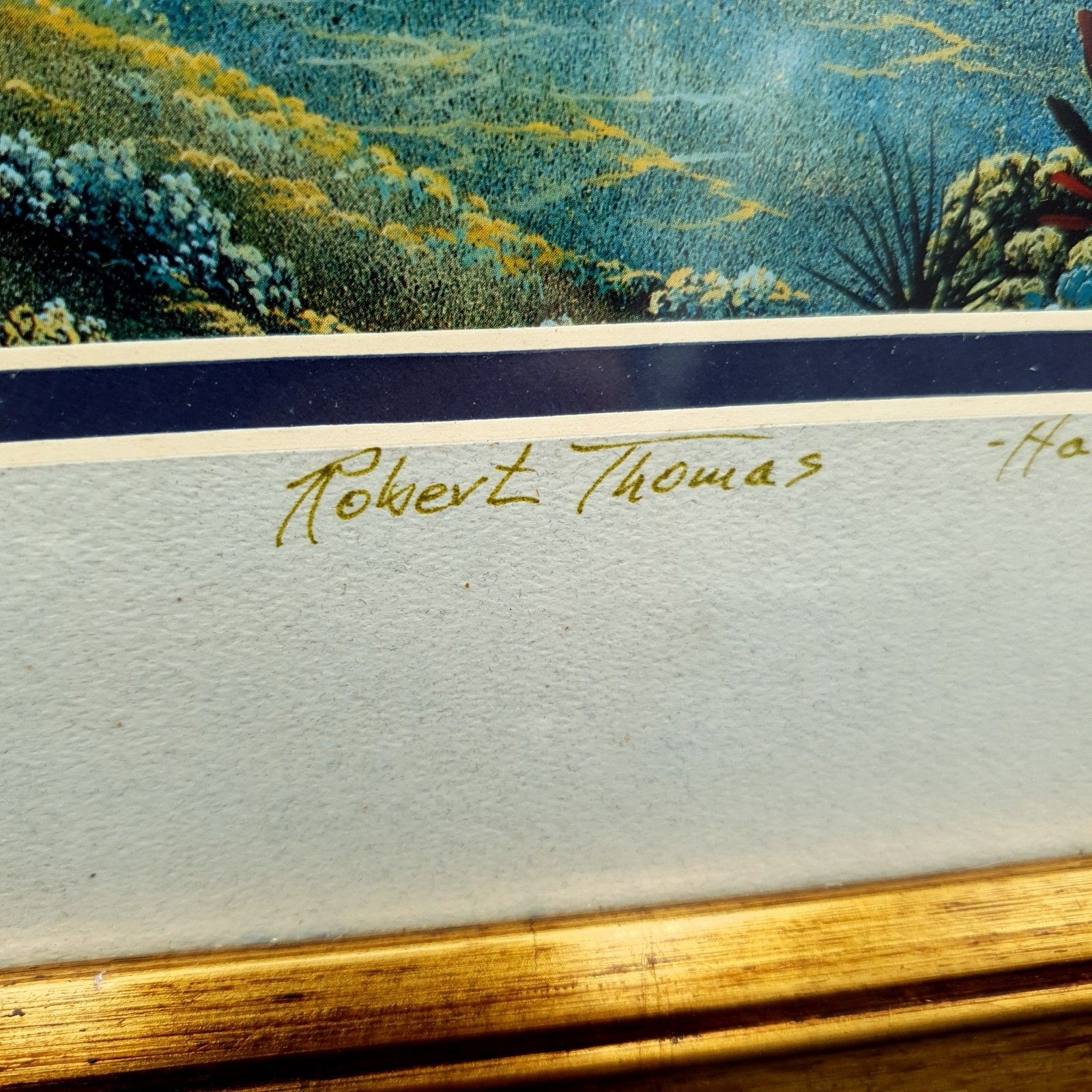 photo furniture Robert Thomas Print Turtle & Ocean Reef Scene Hawaii Distressed Gold Tone Frame