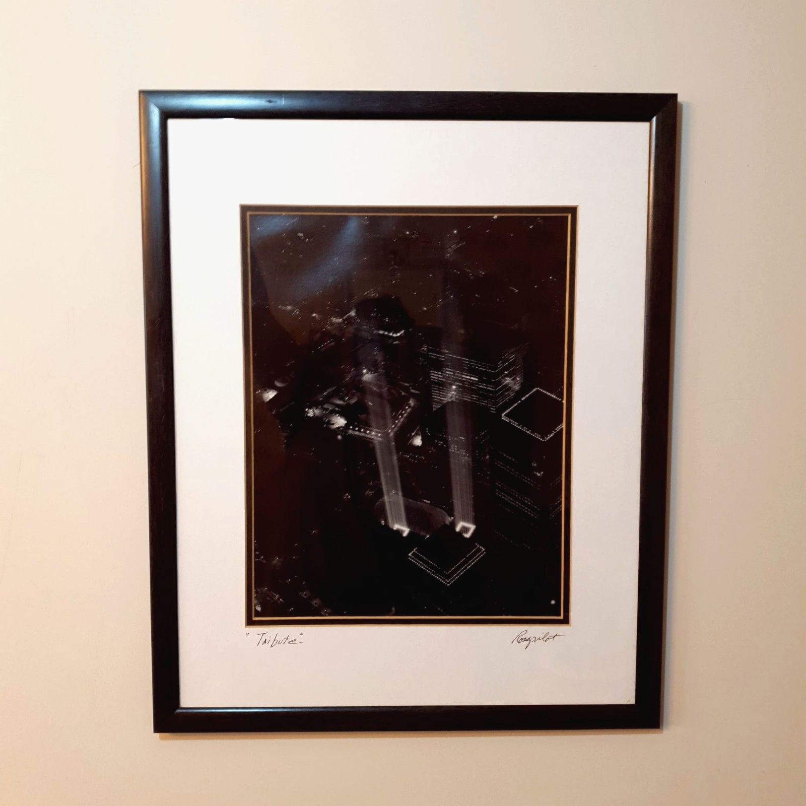 Twin Towers Tribute Photo Print Ross Pilot Projected Lights Signed Award Winner