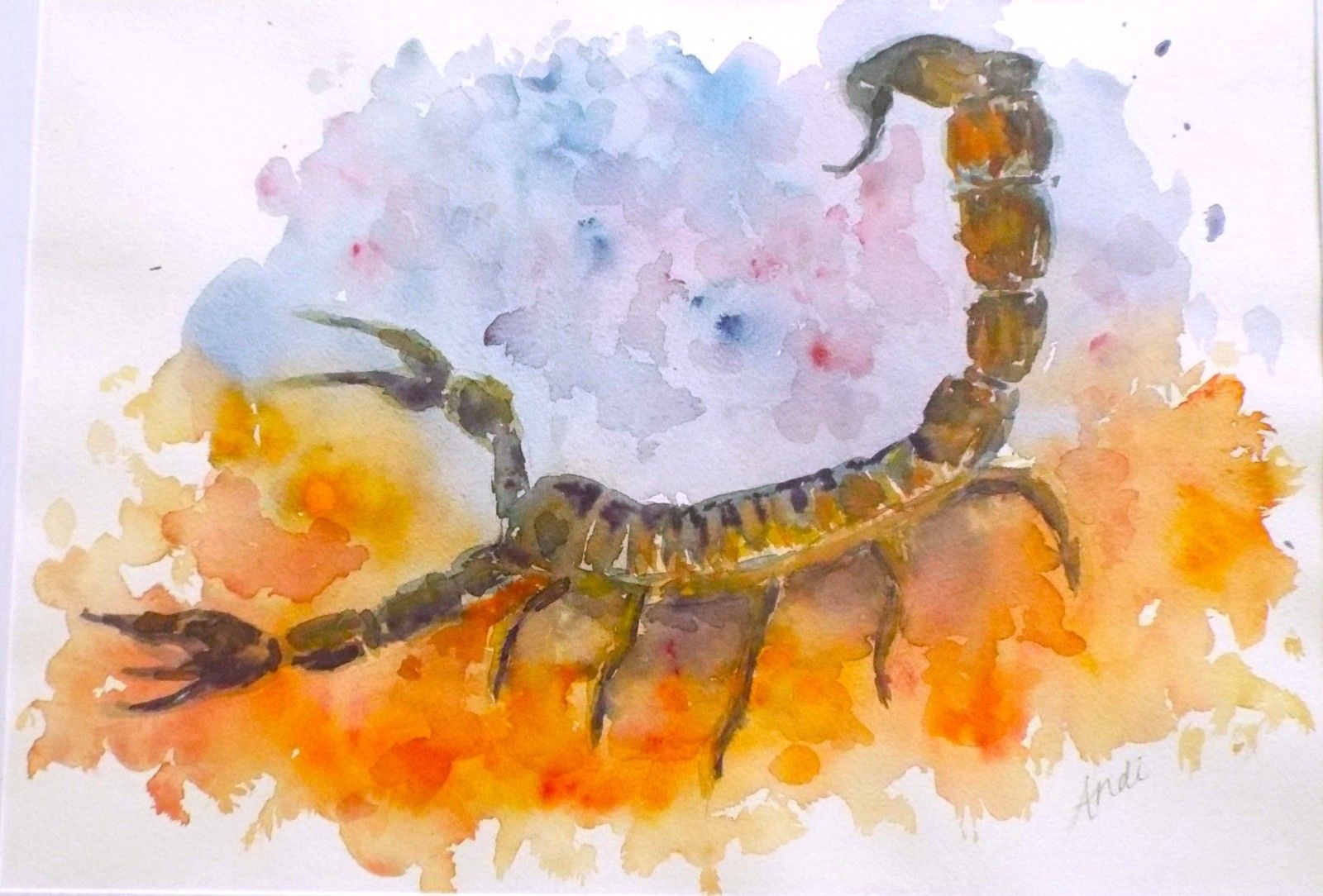 Scorpion Original Watercolour  Framed Painting  Scorpio Star Sign Andi  J Lucas photo buy