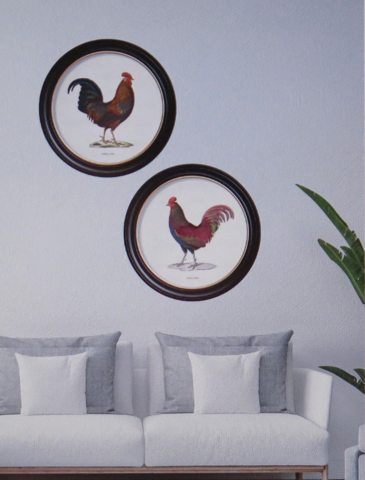 Set Of Two Junglefowl Prints In Round Frames From French Originals Ca 1838, New photo vinterior