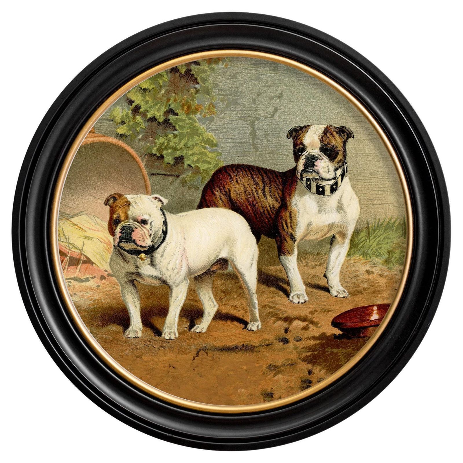 Bulldogs Print In Round Frame From A Victorian Original Circa 1881, New