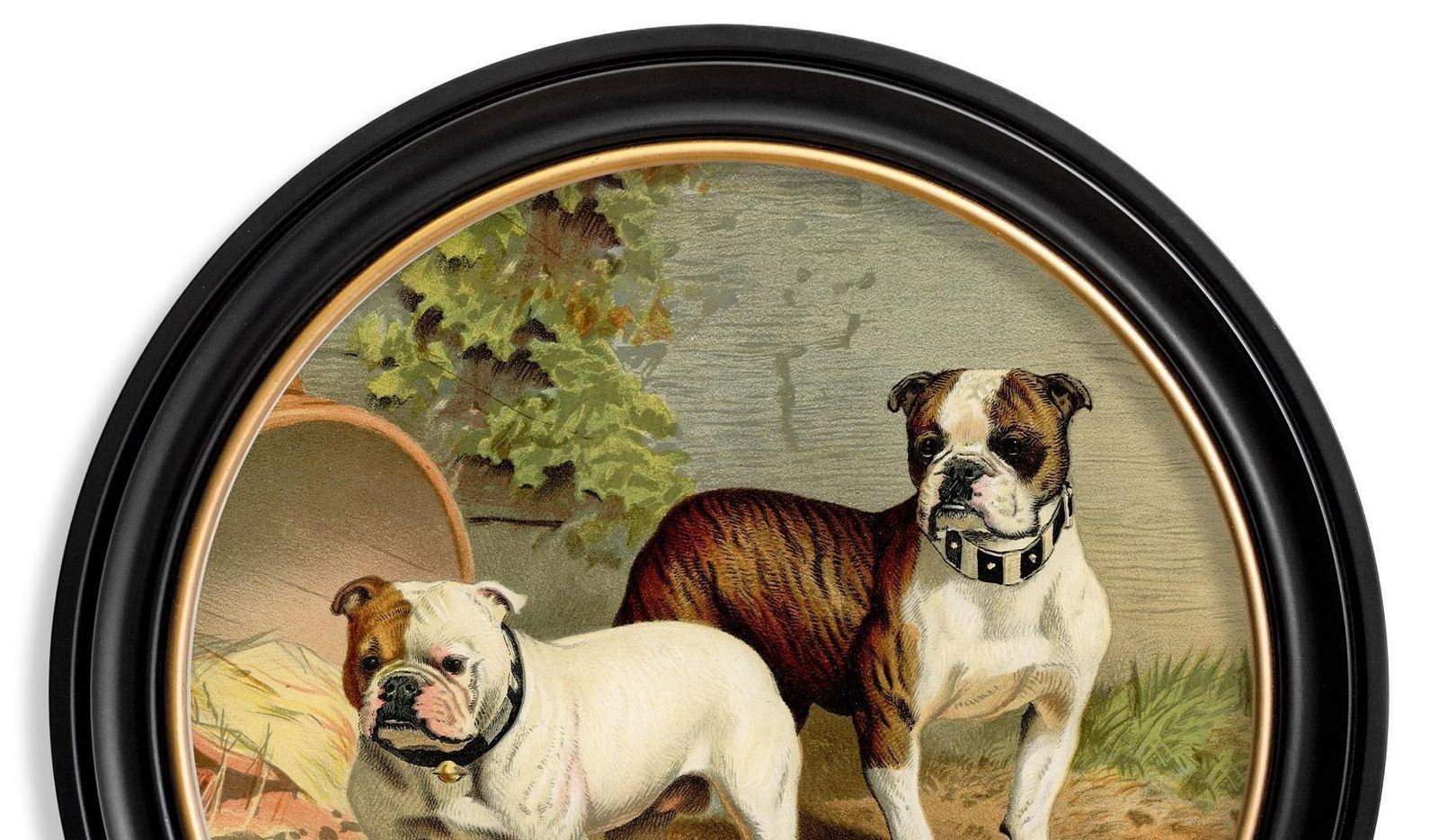 Bulldogs print in ronde lijst naar een Victoriaans origineel, ca. 1881, nieuw photo for sale