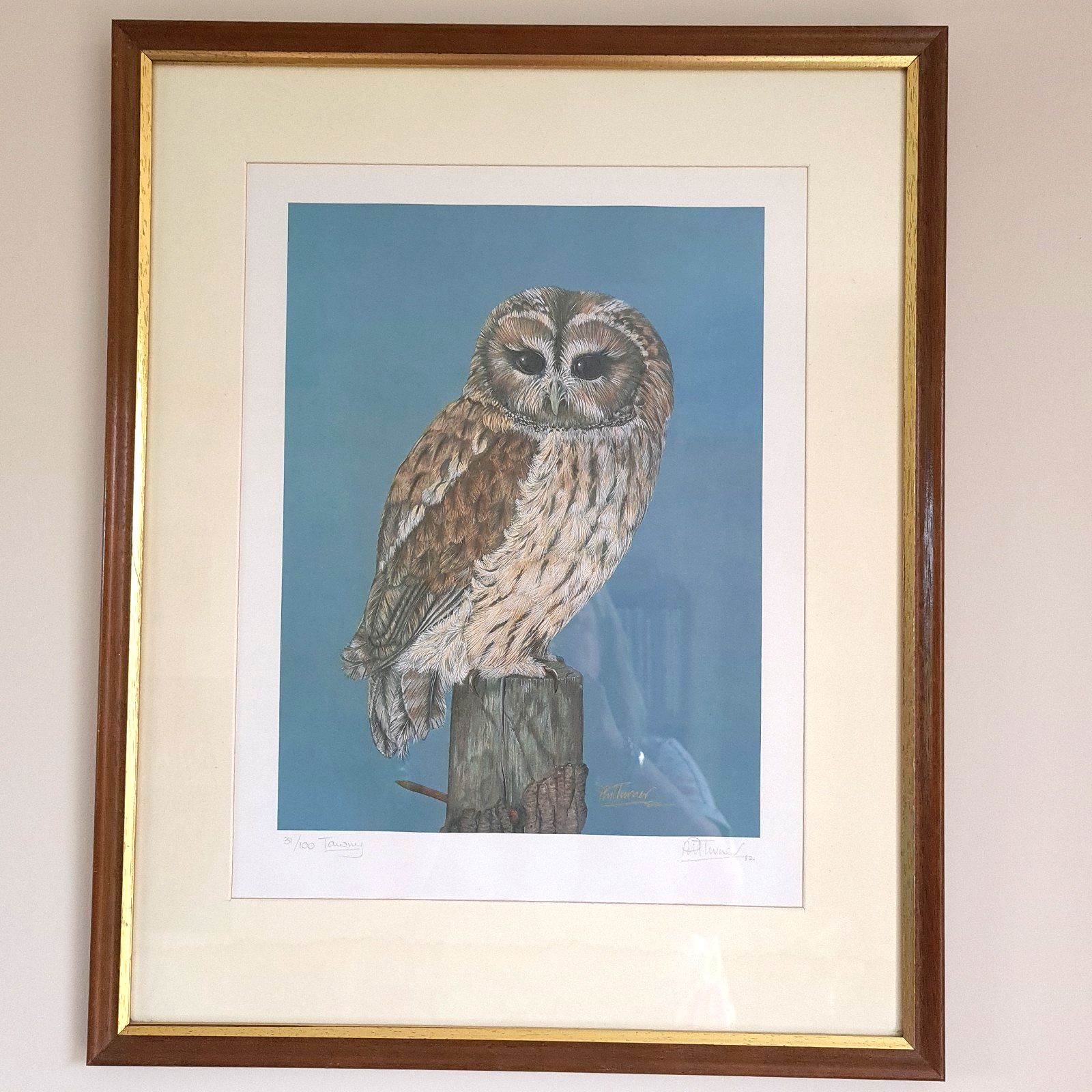 Phil Turner Signed Print 'Tawny' Owl Limited Edition 31/100 Framed 1982