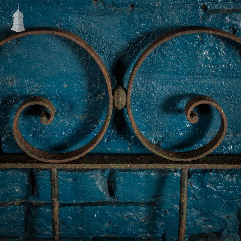 Scrollwork Garden Gate, 19th C Wrought Iron Gate photo vintage