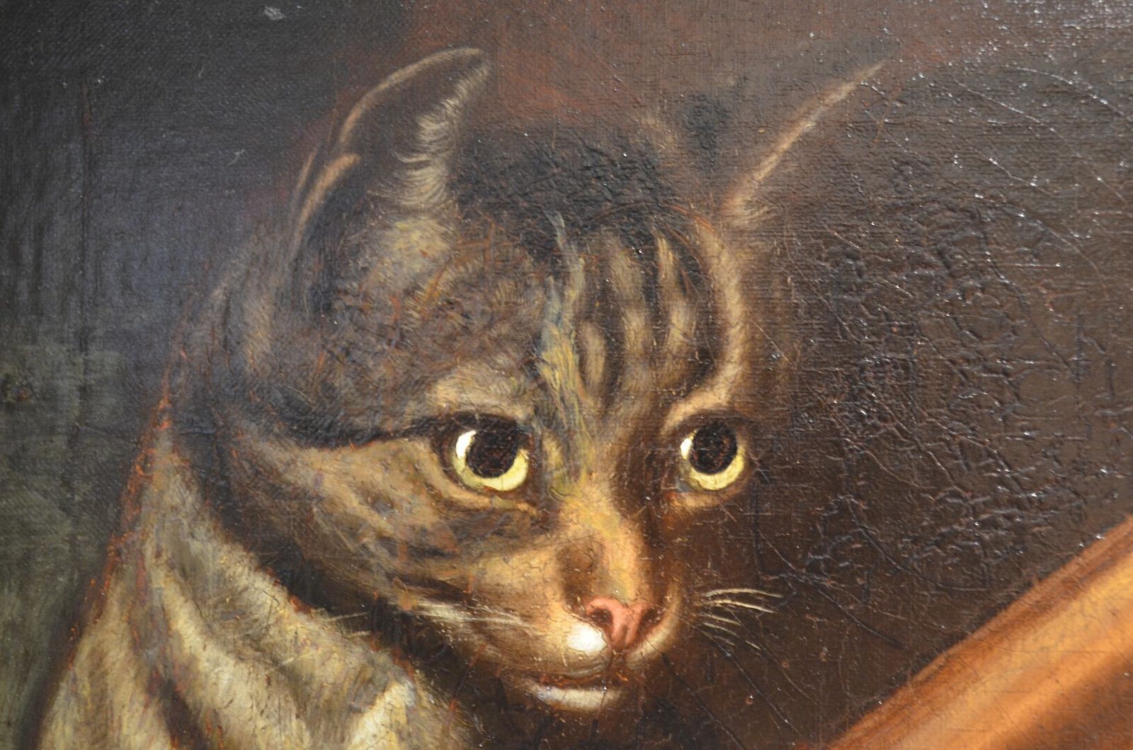 photo for sale 19thc Oil Of Cat And Fish Attributed To Horatio Henry Couldery