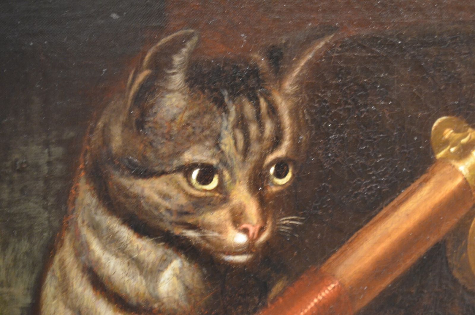 3950.0 19thc Oil Of Cat And Fish Attributed To Horatio Henry Couldery photo