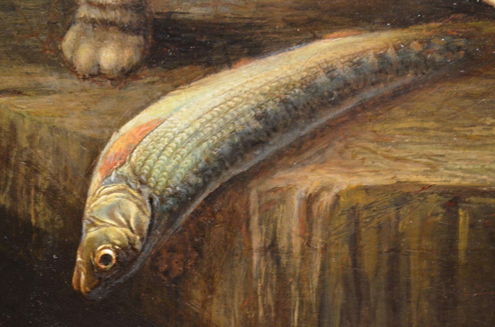 photo buy 19thc Oil Of Cat And Fish Attributed To Horatio Henry Couldery