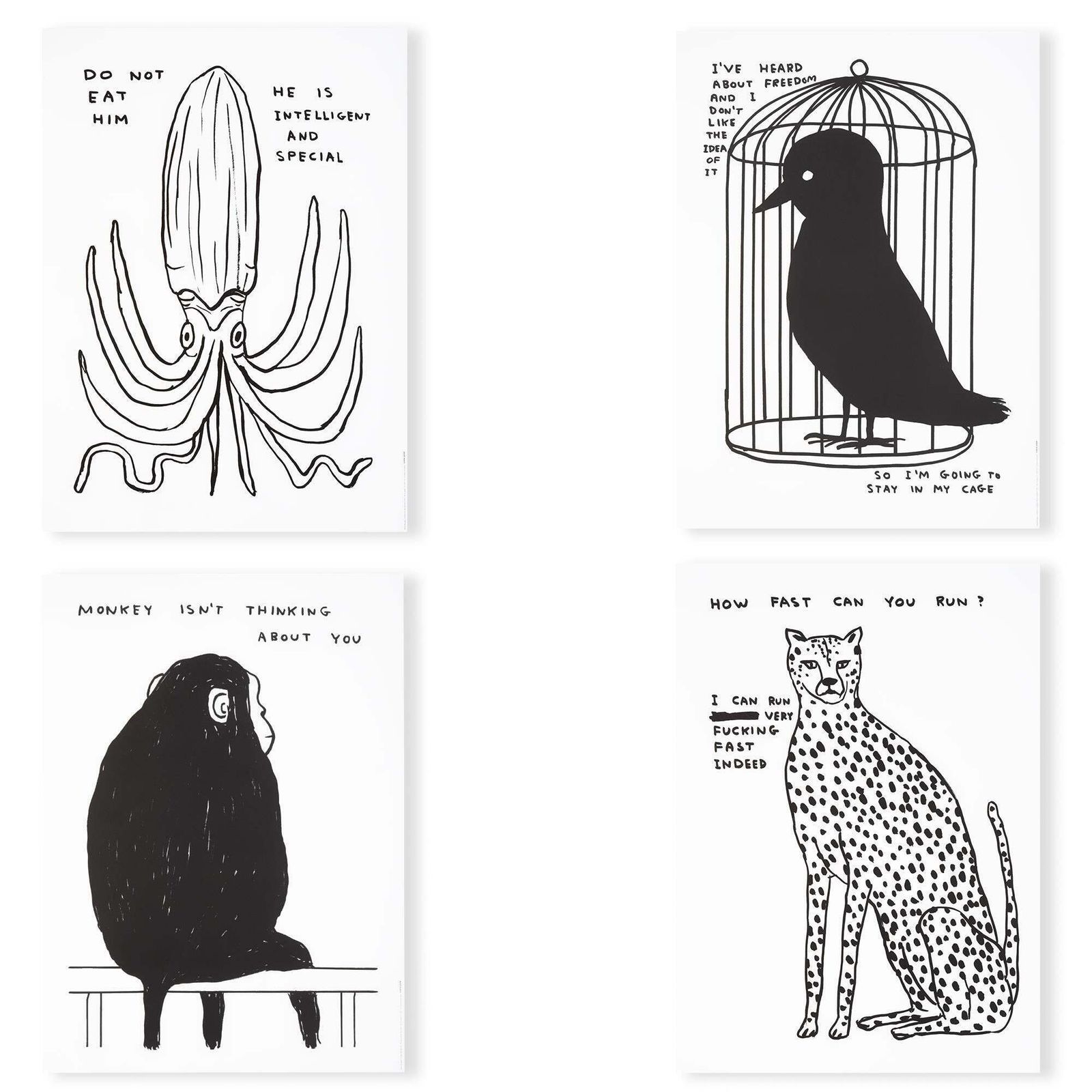 David Shrigley, Animals & Existentialism, 2022