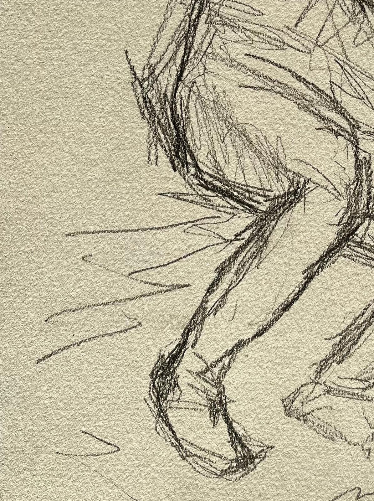 Minty Ramseyreclining Nude Male Figure Sketch In Pencil On Paper2025 photo 300.0