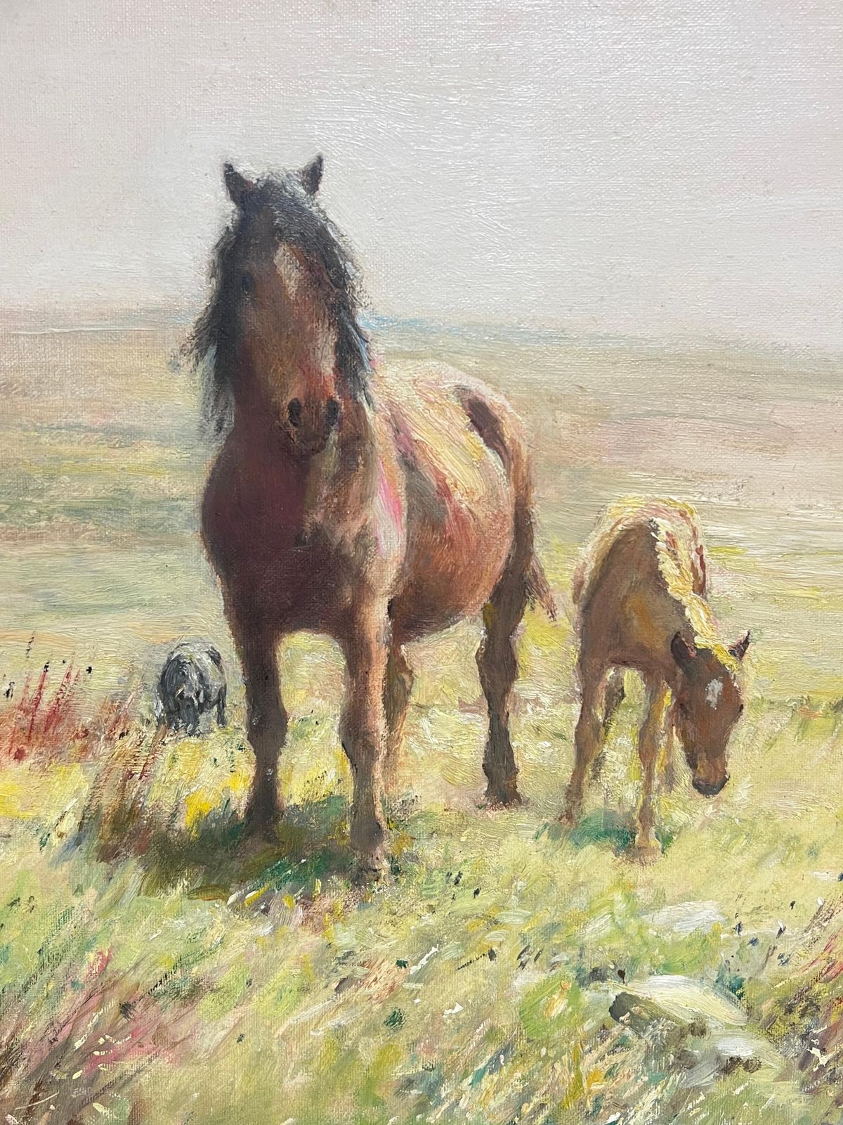 English School Dartmoor Ponies On Moor Landscape Fine English 1950's Impressionist Oil Painting photo vintage