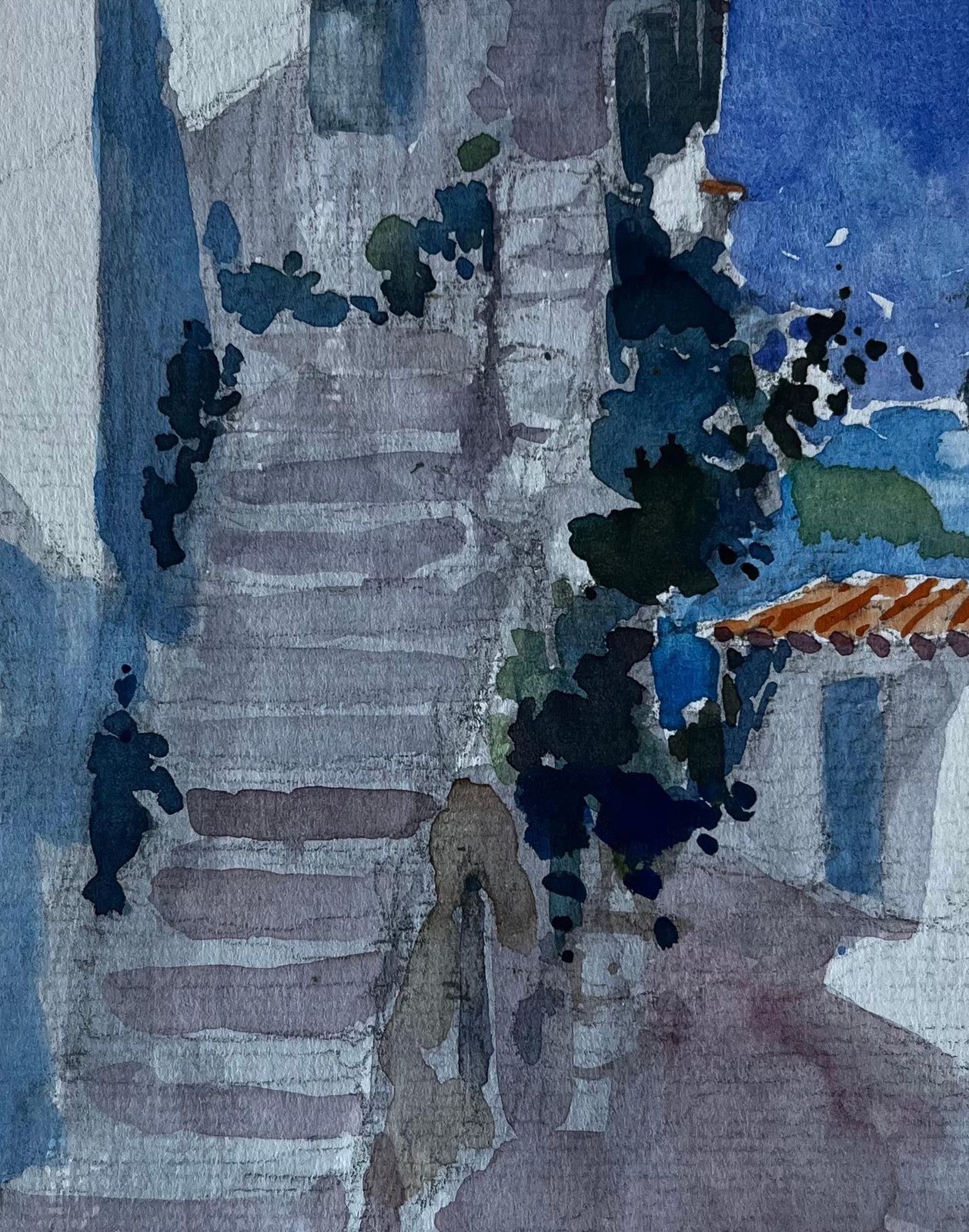 Pierre Neveuroquebrune Cap Martin Village Stairway French Riviera Watercolour photo buy