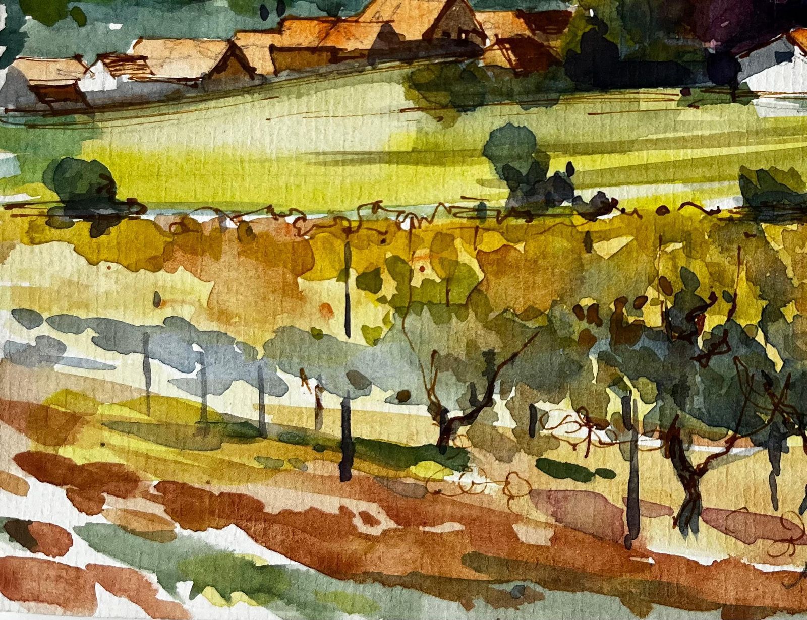 Pierre Neveumittelbergheim Vineyard And Village Landscape Alsace French Watercolour photo vinterior