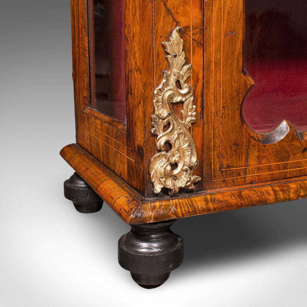 10876.0 Antique Pier Cabinet English Walnut Glazed Display Bookcase Victorian 1860 photo