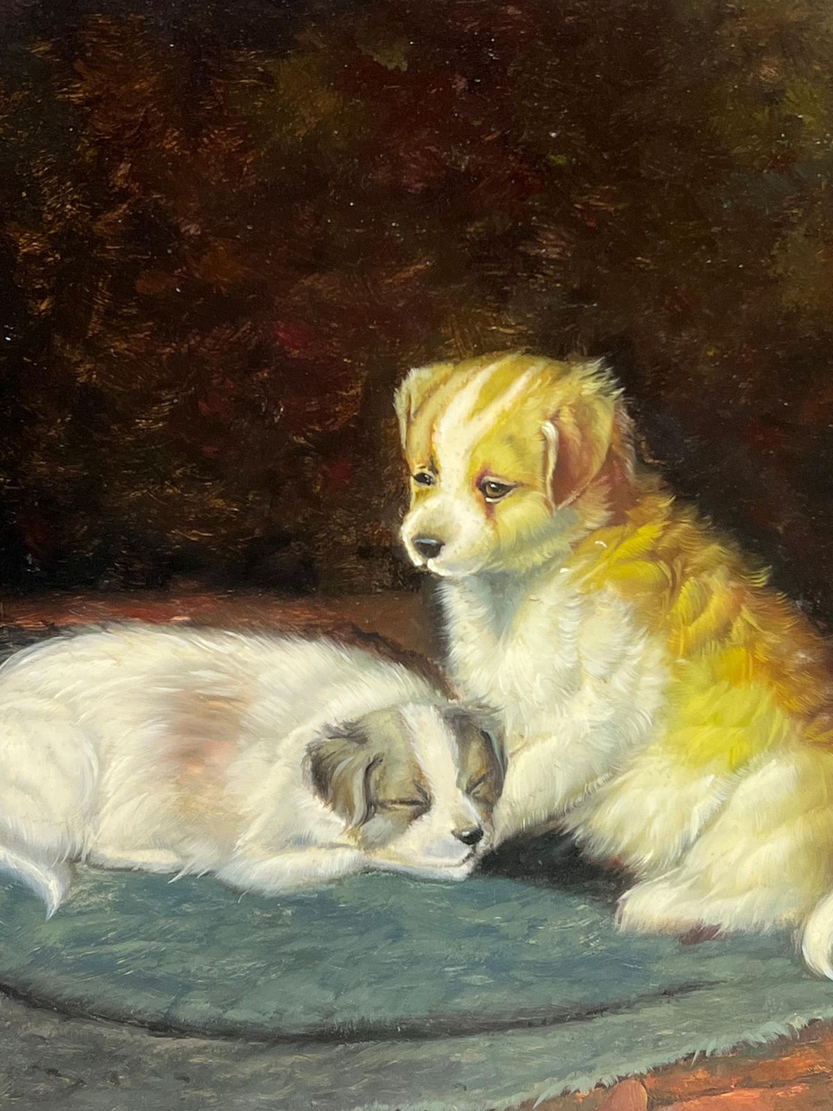 Continental Schoolportrait Of Two Puppies In Interior Room Setting Signed Oil Painting photo furniture