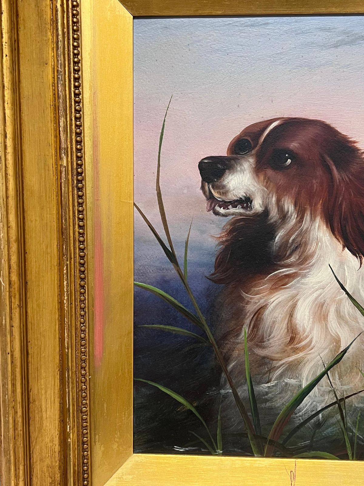 19th Century English Schoolantique English 19th Century Victorian Oil Painting Head Portrait Of Spaniel Dog photo for sale