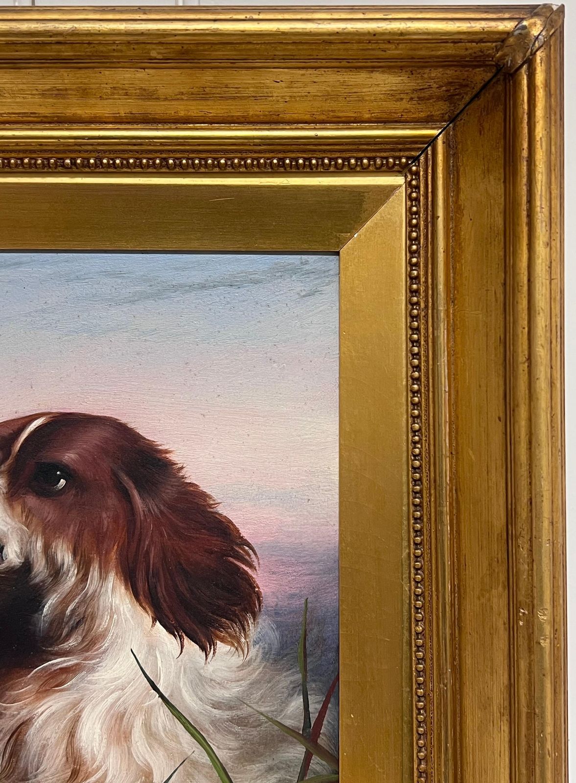 19th Century English Schoolantique English 19th Century Victorian Oil Painting Head Portrait Of Spaniel Dog photo Art