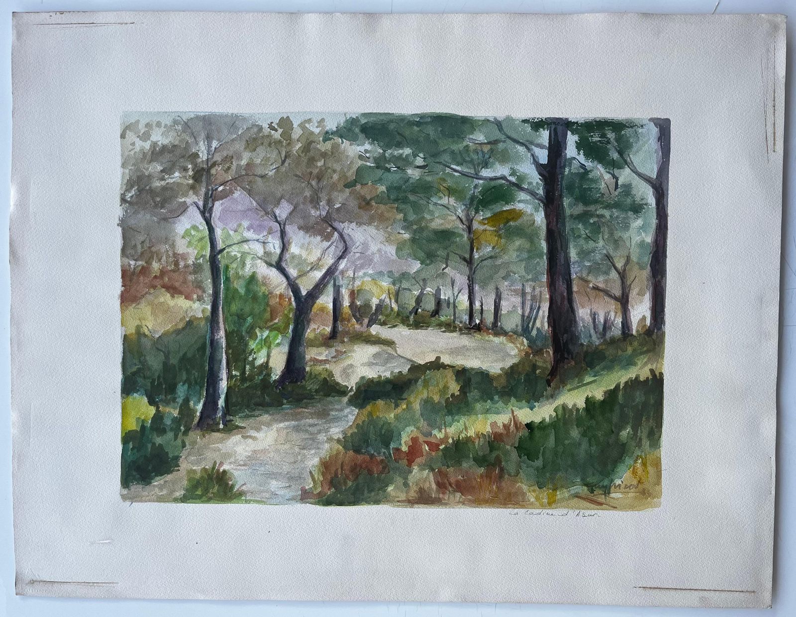 Guy Nicodwoodland Path Among Pines Provence French Landscape Gouache photo furniture