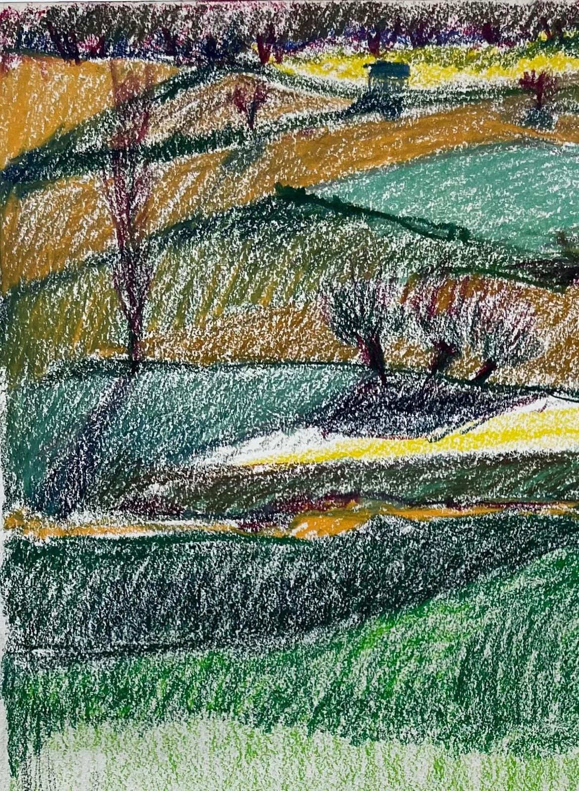 Guy Nicodfrench Rolling Hills With Meadows And Wildflowers Pastel Landscape Drawing photo for sale