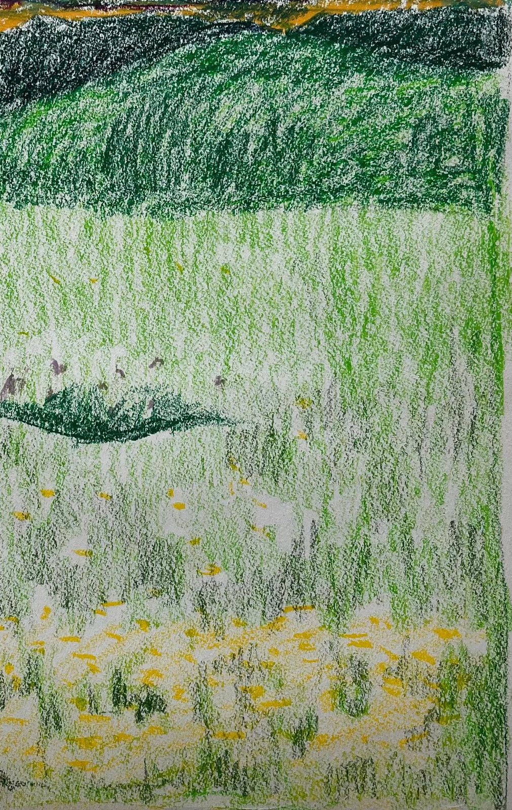 Guy Nicodfrench Rolling Hills With Meadows And Wildflowers Pastel Landscape Drawing photo 595.0