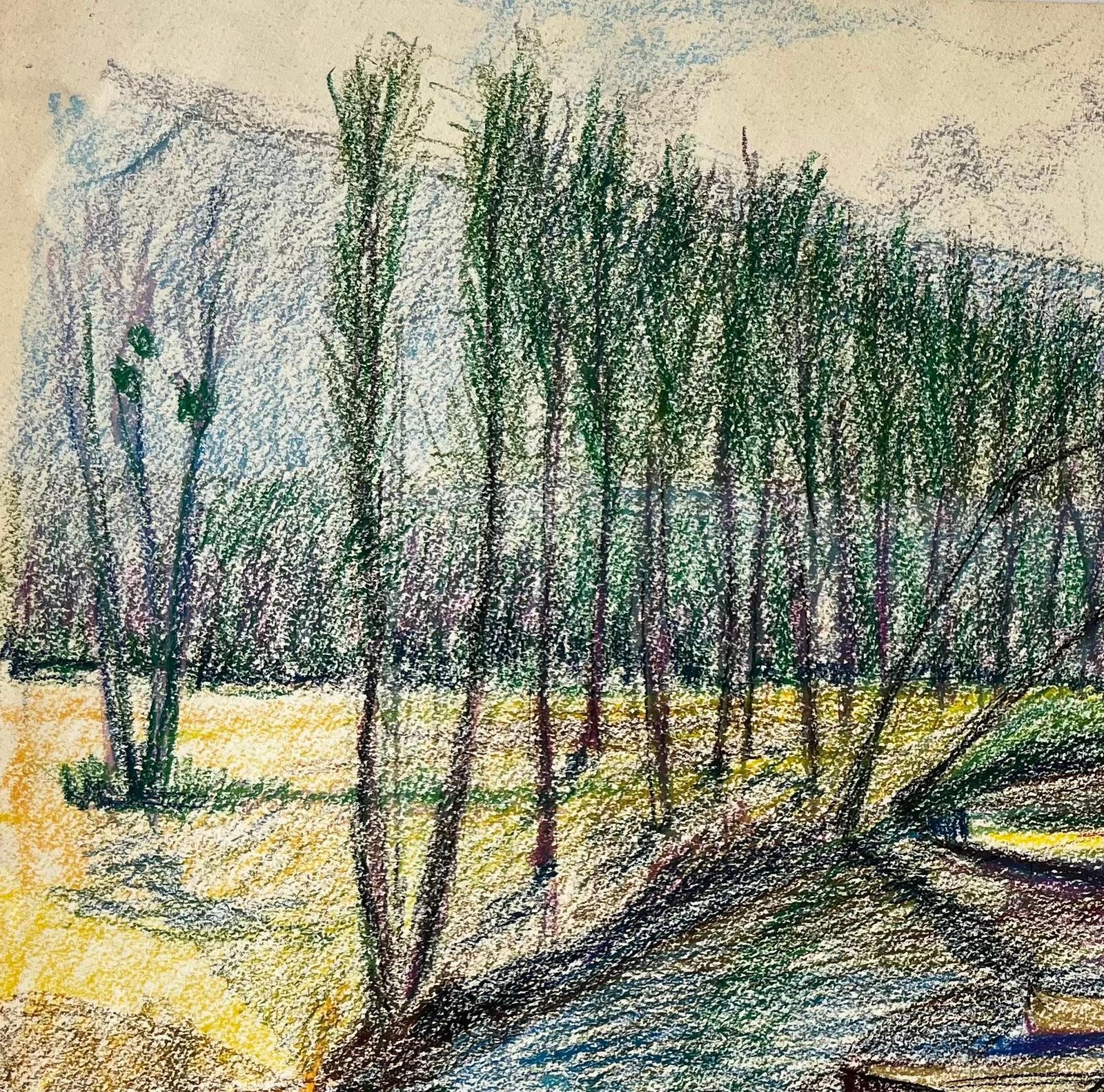 Guy Nicod Moored Boats On A Reflective River French Pastel Drawing photo 738.0