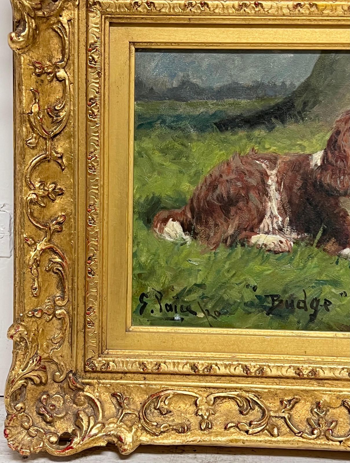 George Paiceantique English Dog Oil Painting Portrait Of Springer Spaniel Titled  Dated 19201920 photo for sale