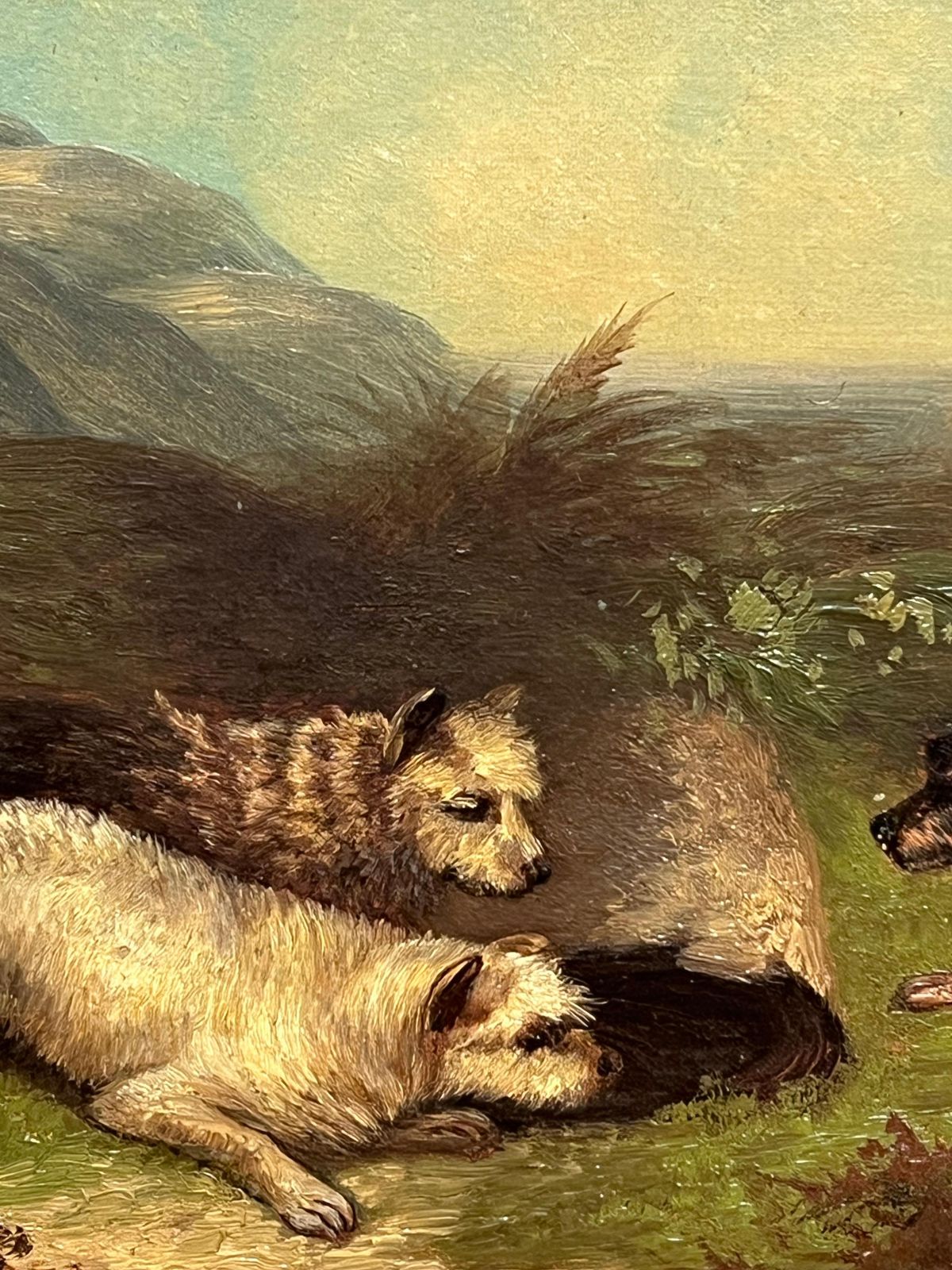 Fine Victorian English Oil Painting Three Terrier Dogs Highland Rabbit Hole photo buy