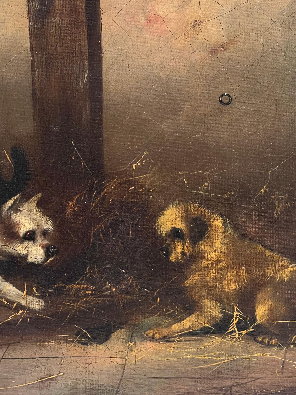 Frank Cassellfine Victorian Dog Oil Painting Terriers Chasing Rat In Barn Stable Interior photo for sale