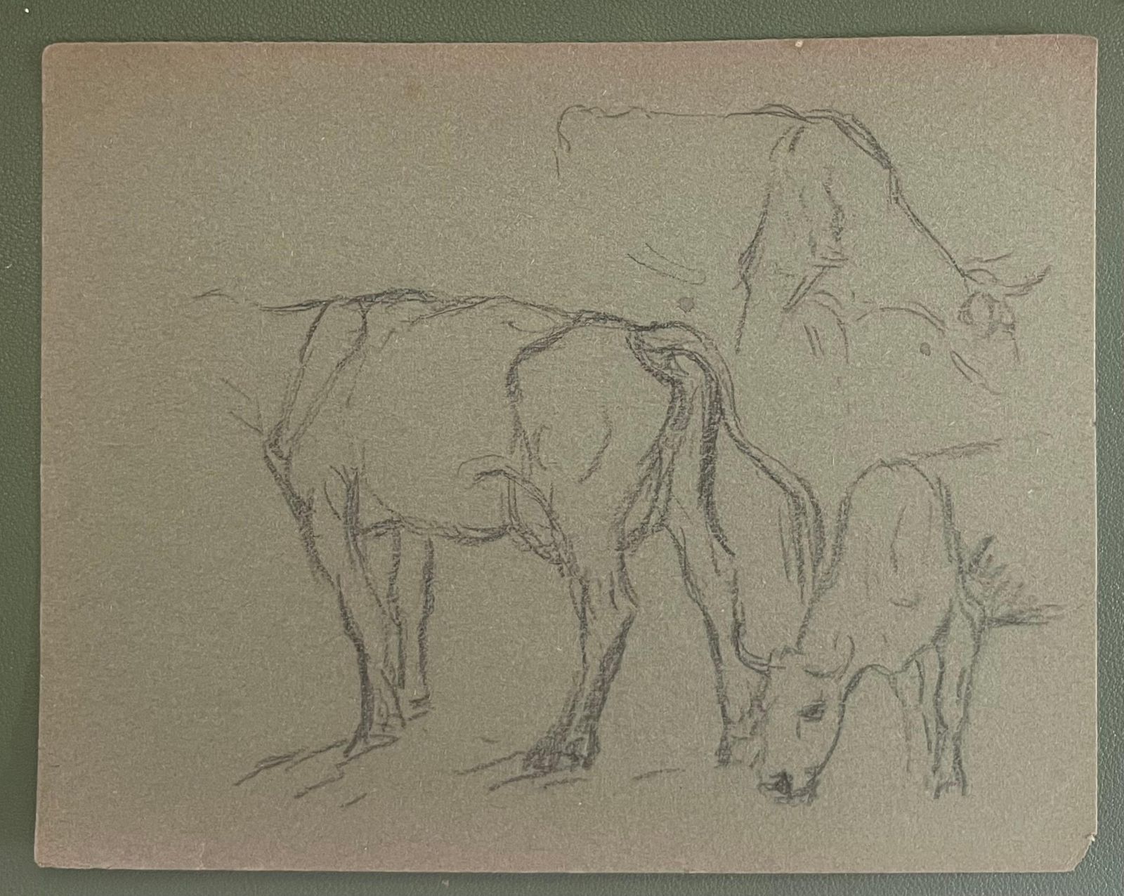 John Rabone Harveybritish Chalk Pencil Sketches Of Cows And Calfs In Field1966 photo furniture