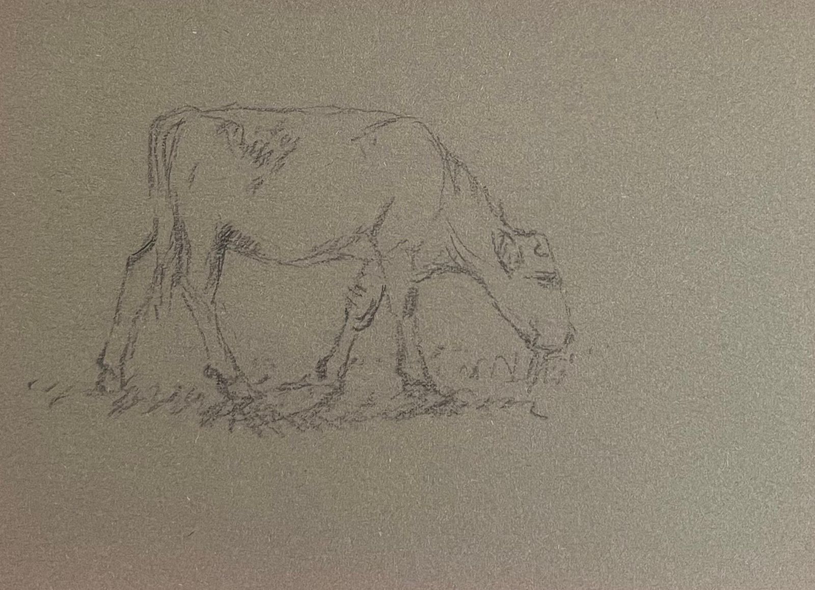 John Rabone Harveybritish Chalk Pencil Sketch Of A Sheep Munching The Grass1966