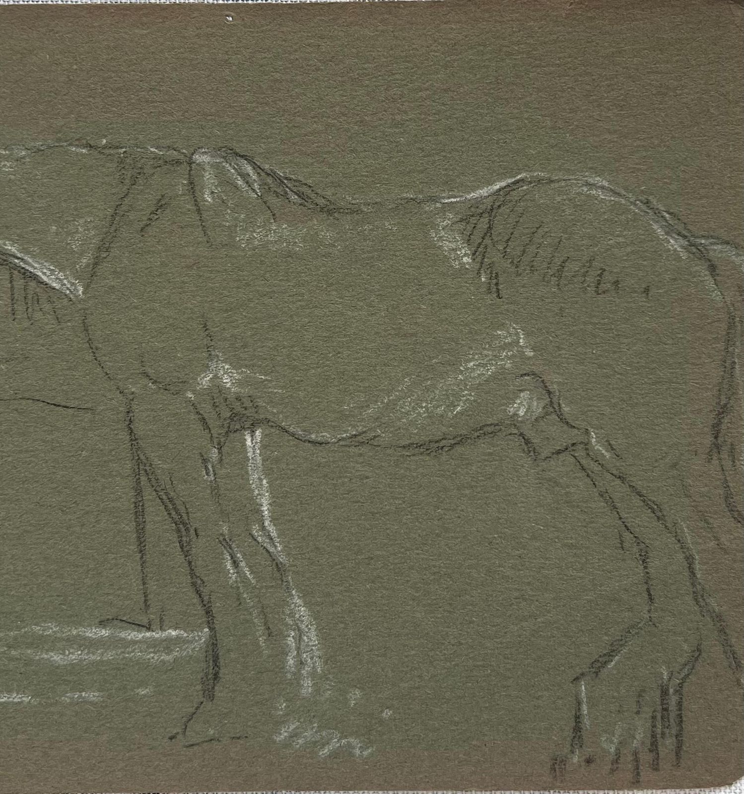 John Rabone Harveybritish Chalk Pencil Sketch Of A Horse With White Features Waiting At The Fence1966 photo Art