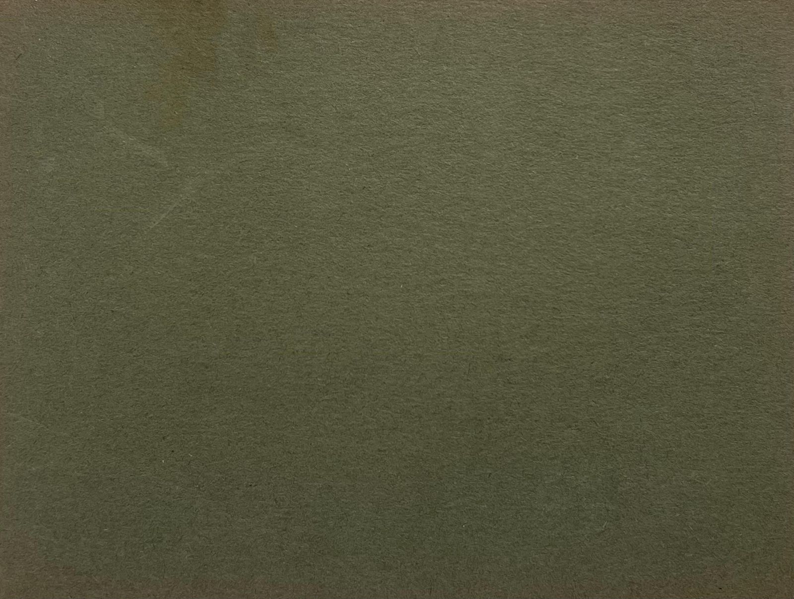 John Rabone Harveybritish Chalk Pencil Sketch Of A Horse With White Features Waiting At The Fence1966 photo 101.0