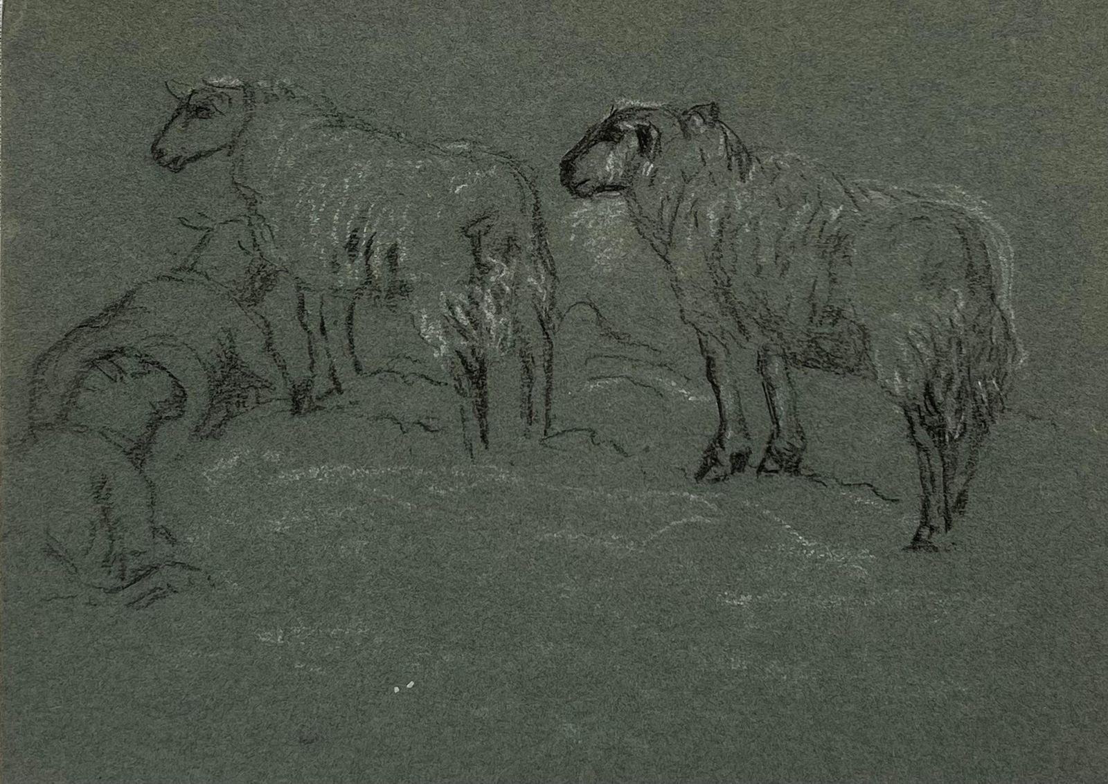 John Rabone Harveybritish Chalk Pencil Sketch Sheep Roaming In And Munching In The Field1966 photo 101.0
