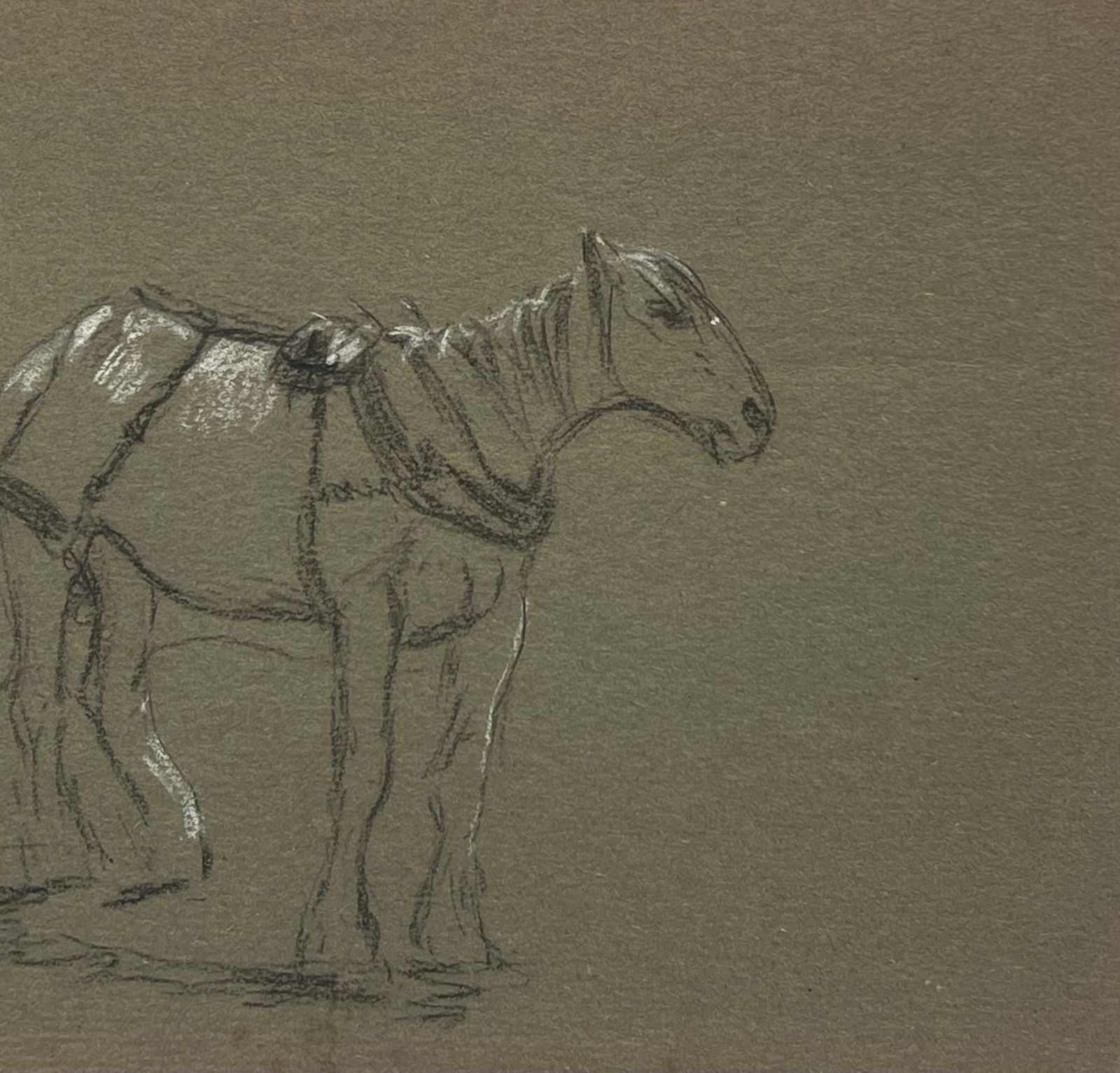 John Rabone Harveybritish Chalk Pencil Sketch Of A Ready Horse Tacked Ready To Mount1966 photo for sale