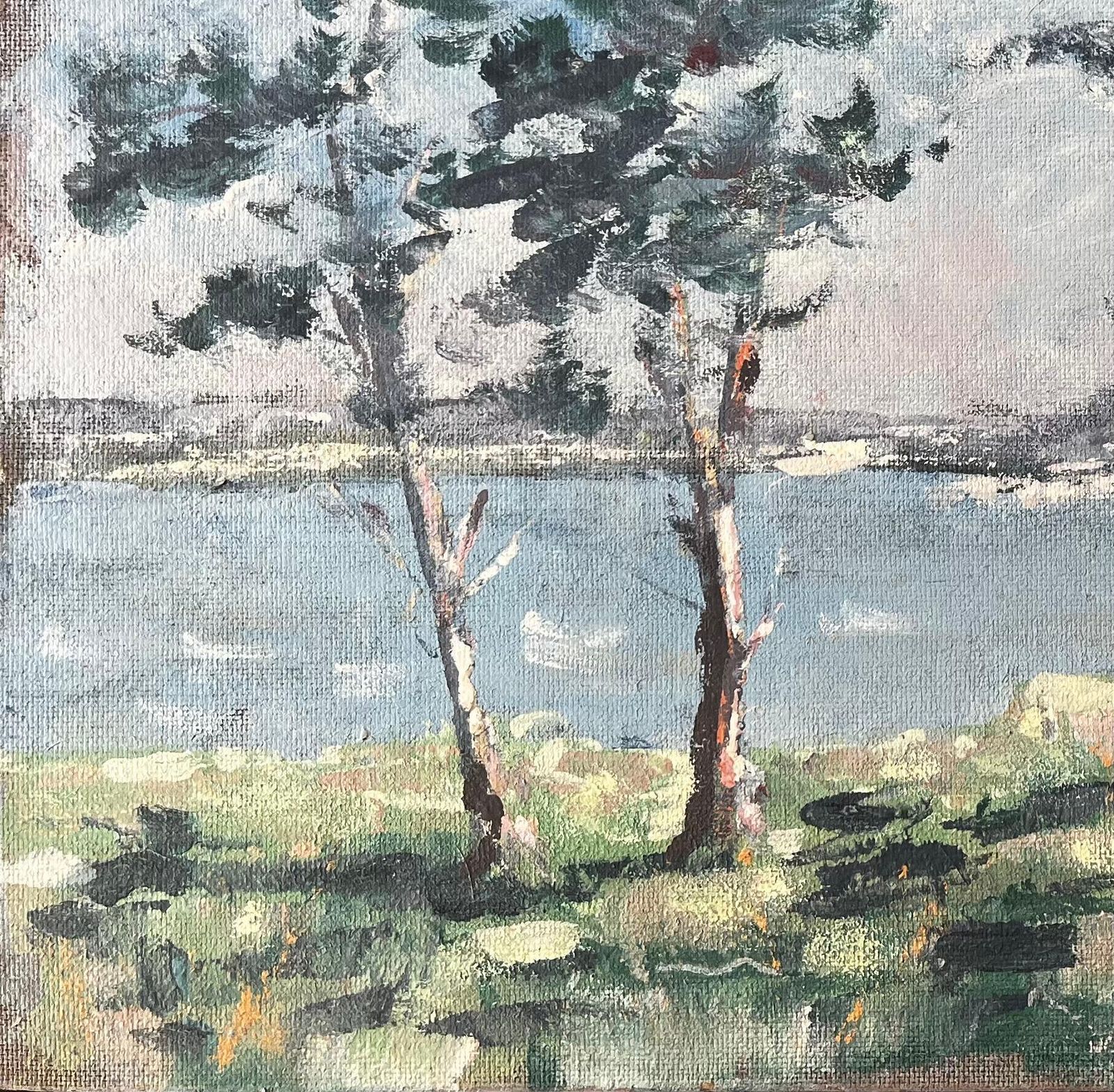 Fanch Lelfrench Coastal Landscape With Windswept Trees At Golfe Du Morbihan Brittany photo 544.0