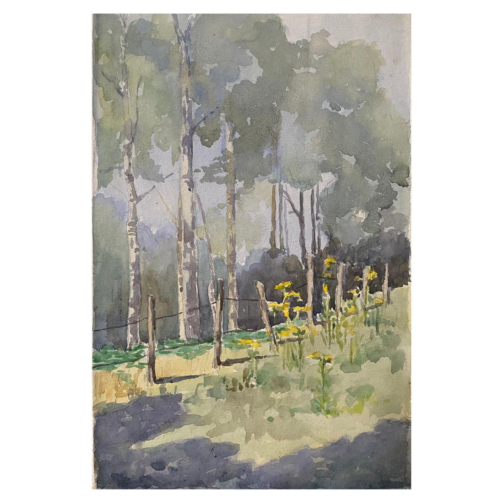 Unknown1900's, English Impressionist Watercolor Painting Spring Fieldcirca 1900s