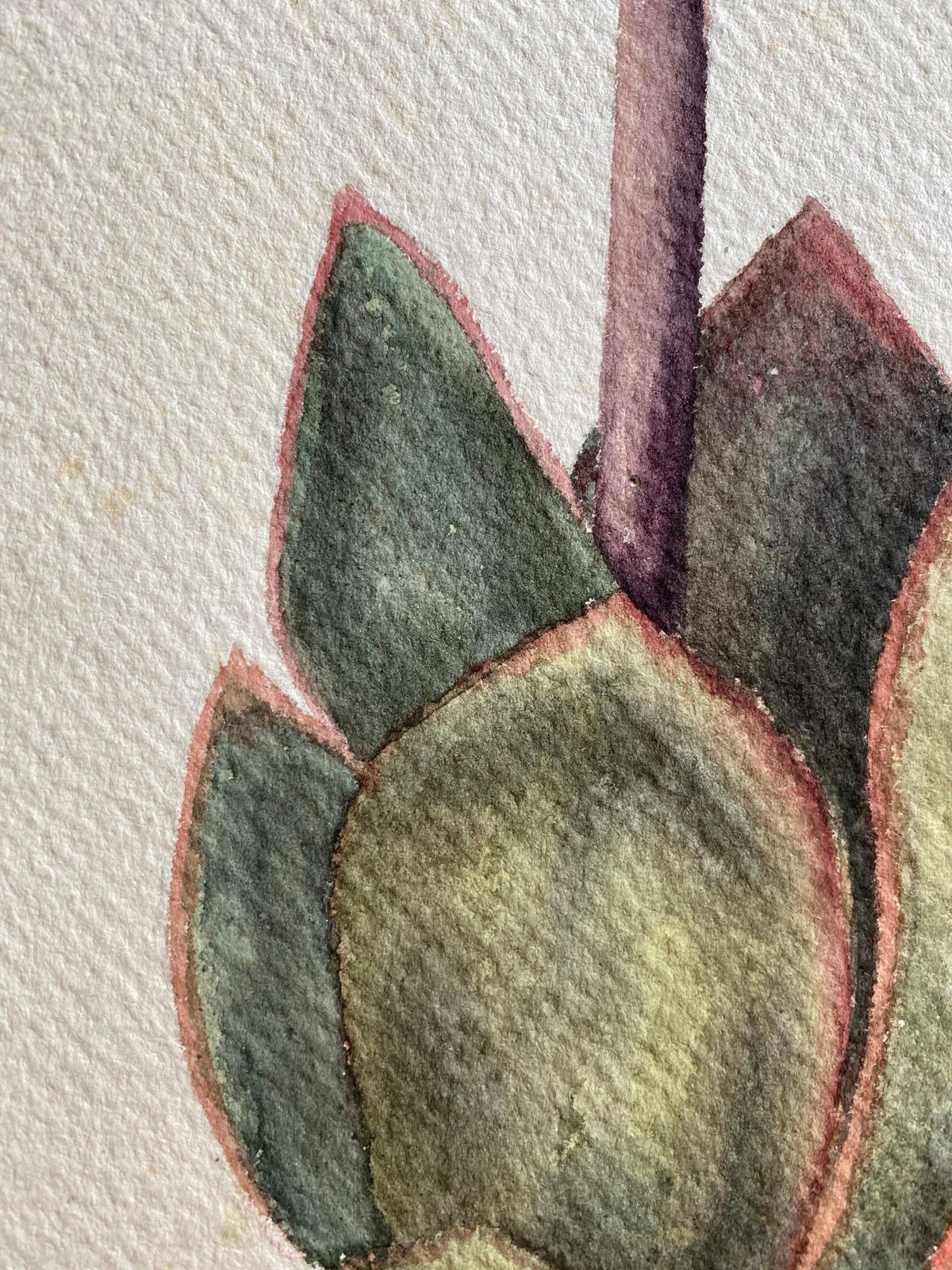 Unknownfine Antique British Botannical Flower Watercolour Painting, Circa 1900'scirca 1900s photo for sale
